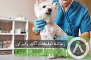 درمان سگ بیمار نیاوران